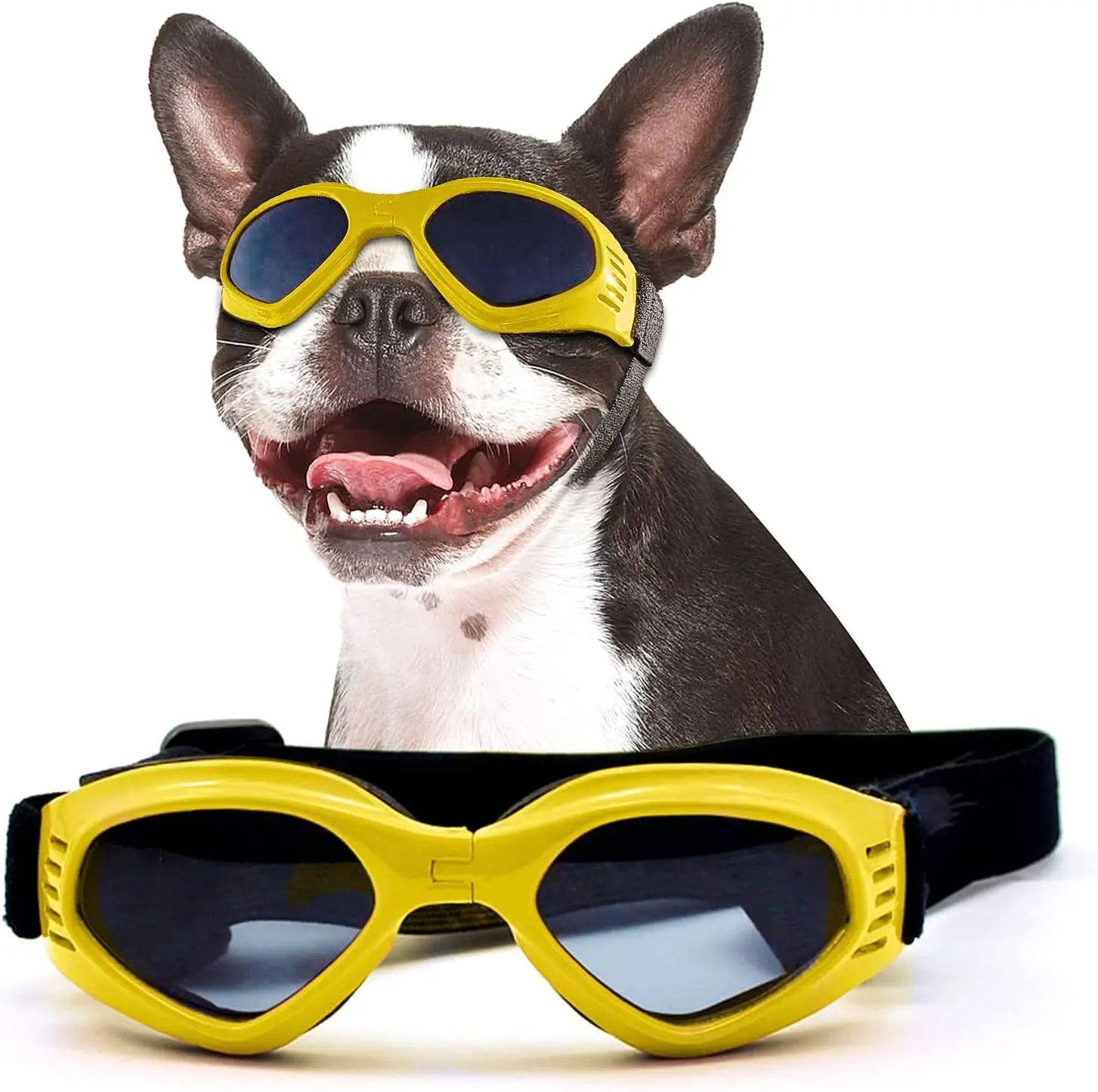 Doggles