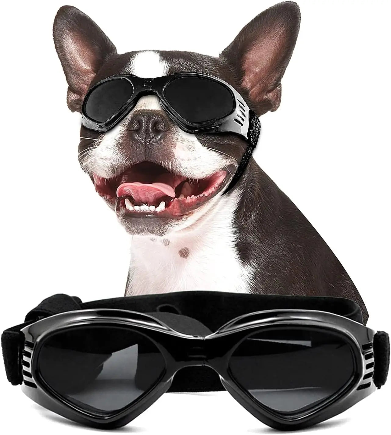 Doggles