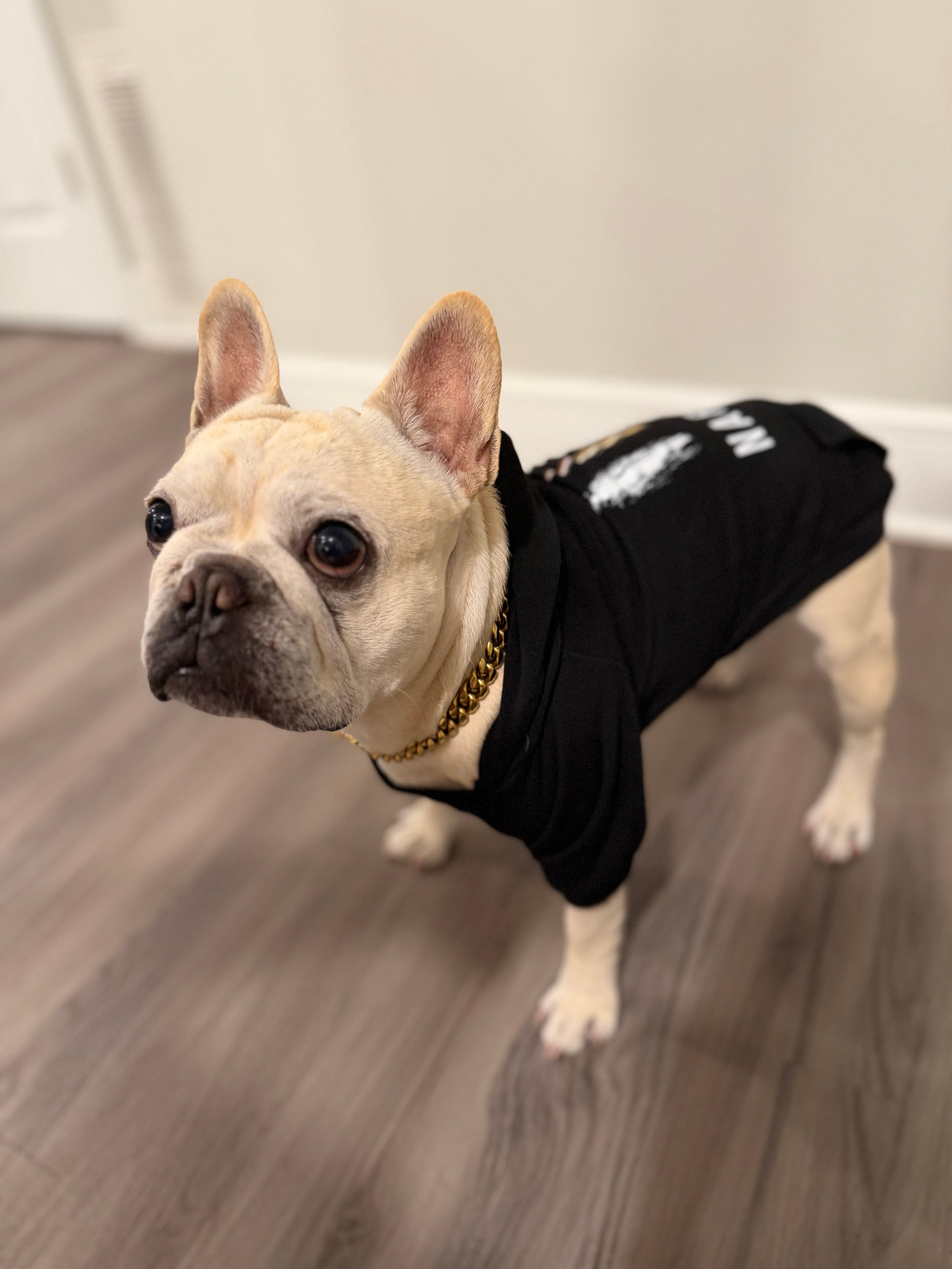 Trafficante Hoodie
