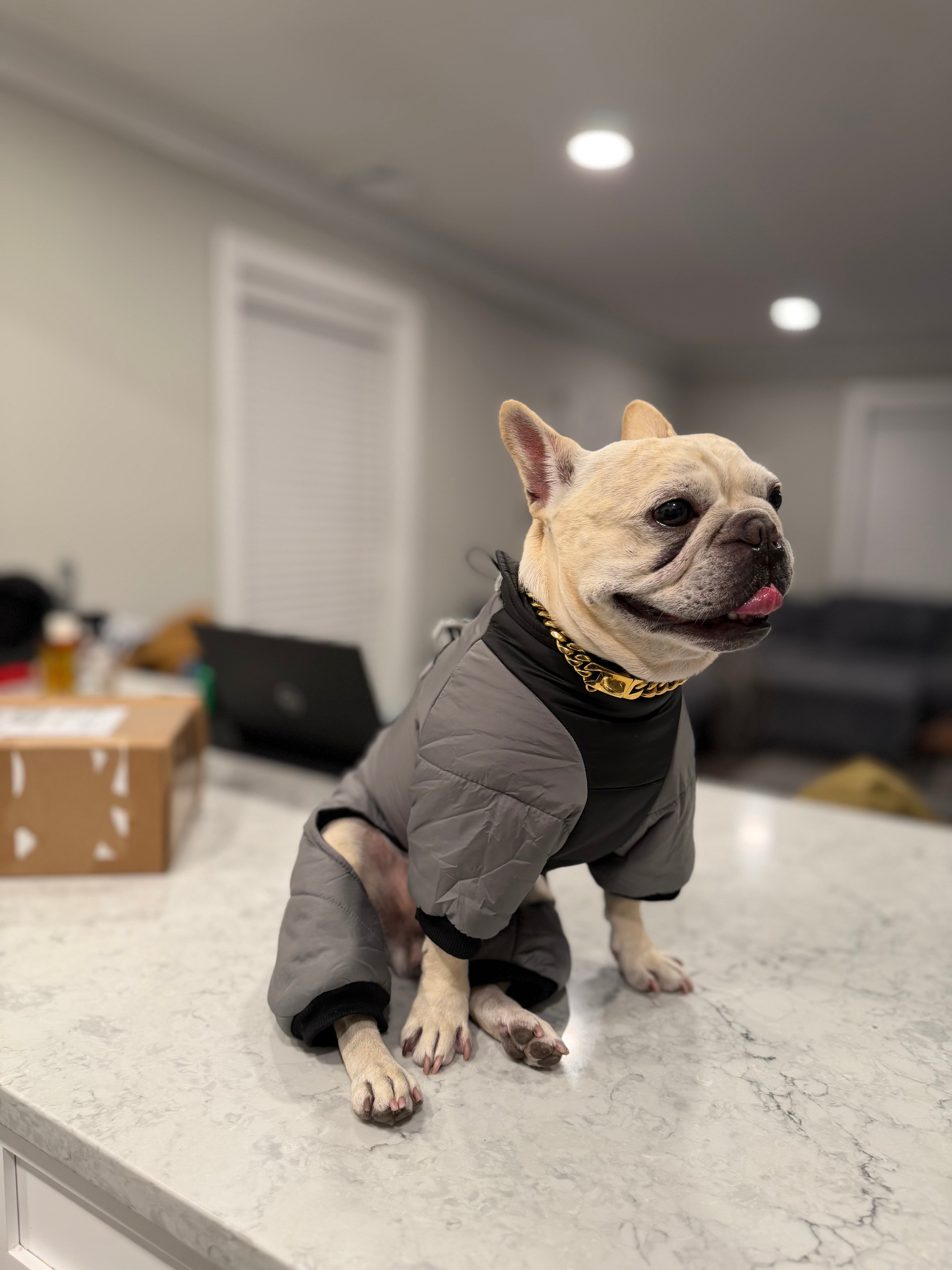 Rain and Snow Puffer