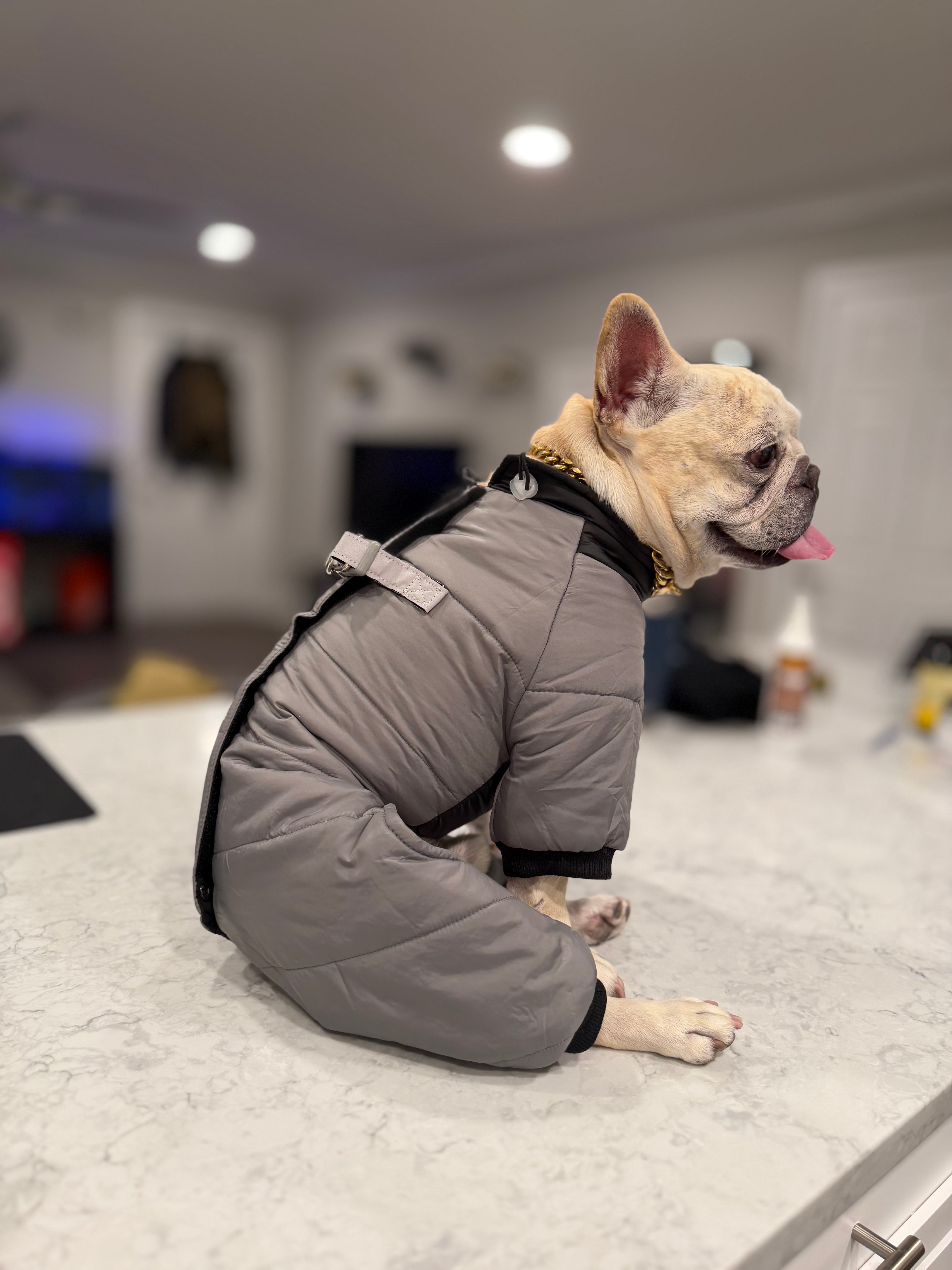 Rain and Snow Puffer