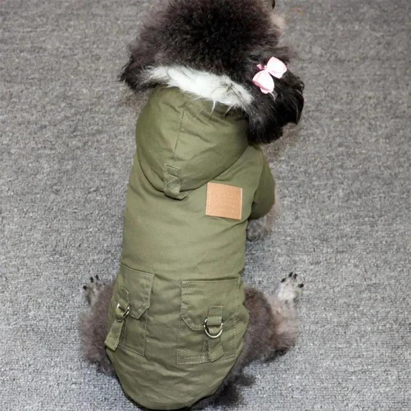 Winter Coat
