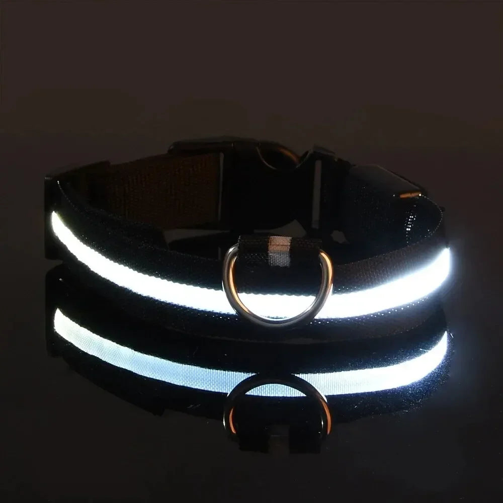 LED Nighttime Safety Collar