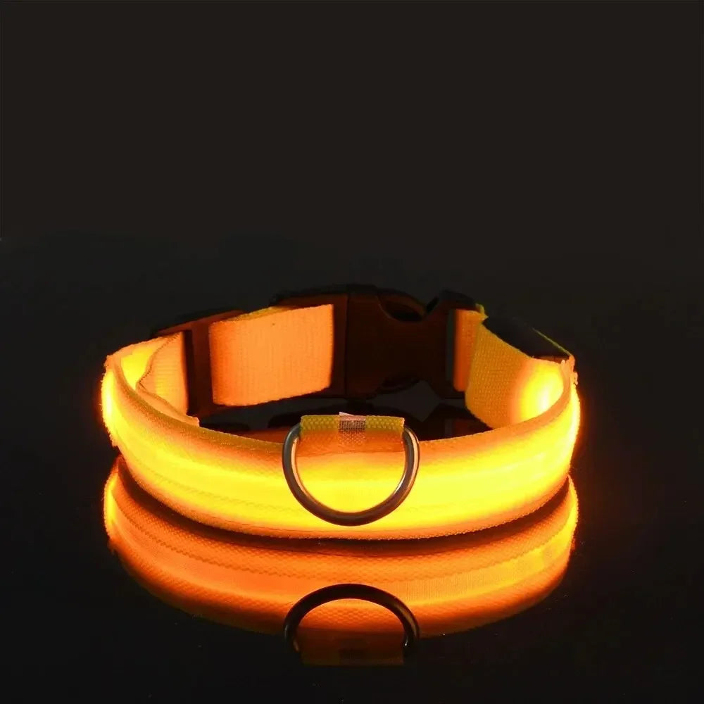 LED Nighttime Safety Collar