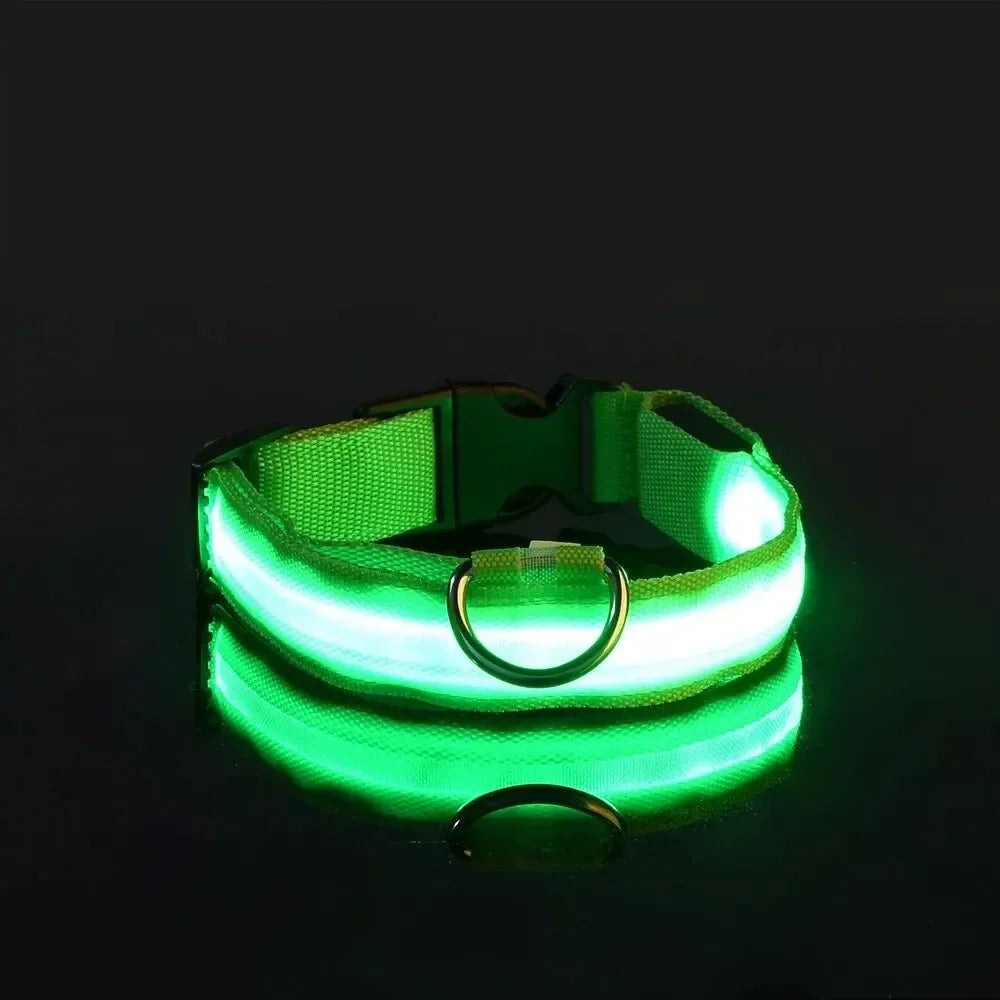 LED Nighttime Safety Collar