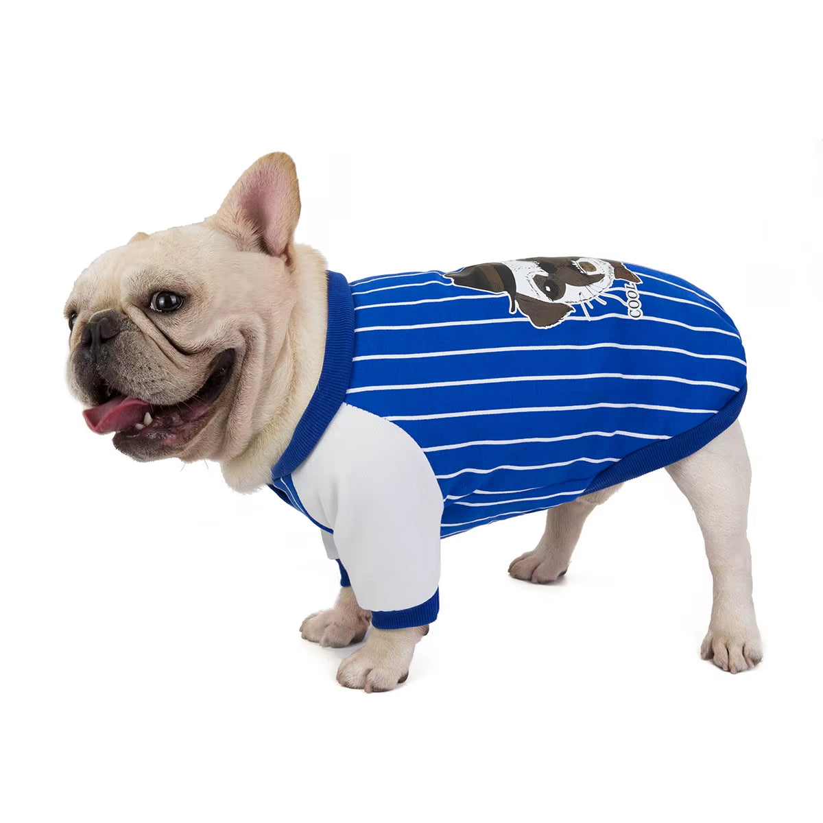 Fashion Designer Autumn Winter Warm Cotton French Bulldog Baseball Sweatshirt Luxury Dog Coat Striped Frenchie Bulldog Clothes