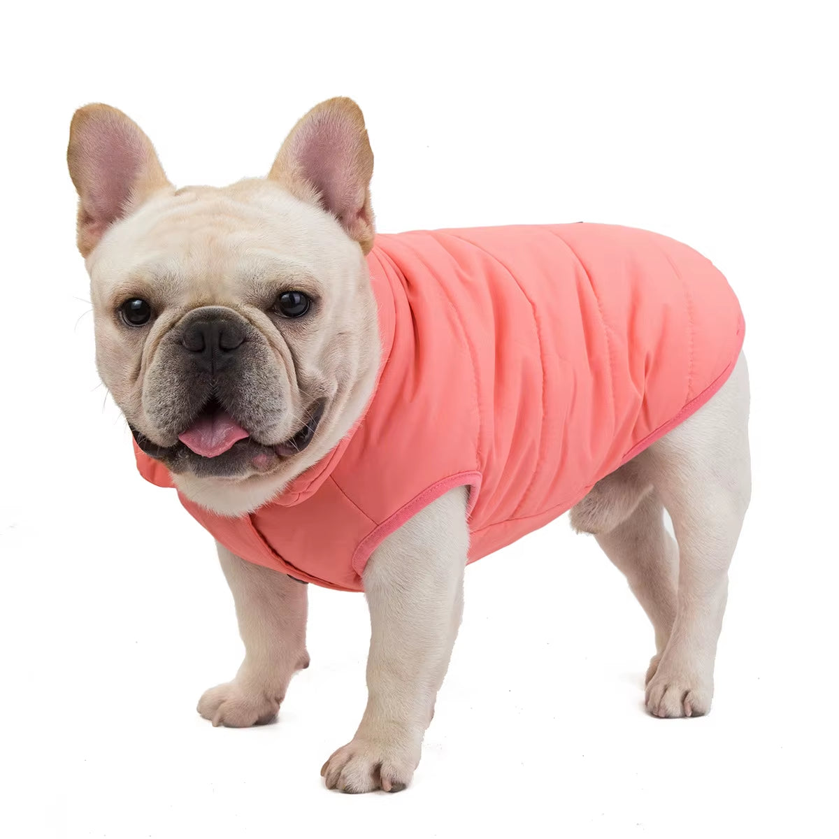 Autumn and Winter Warm Velvet Fleece Polyester French Bulldog Vest Coat Windproof Waterproof Dog Coat French Bulldog Clothes