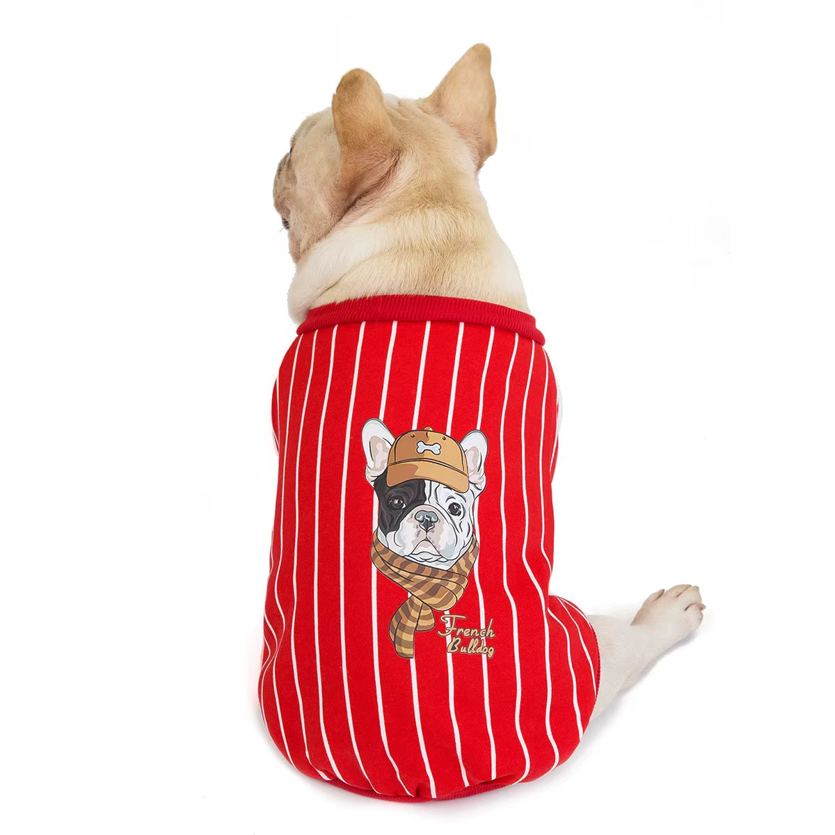 Fashion Designer Autumn Winter Warm Cotton French Bulldog Baseball Sweatshirt Luxury Dog Coat Striped Frenchie Bulldog Clothes