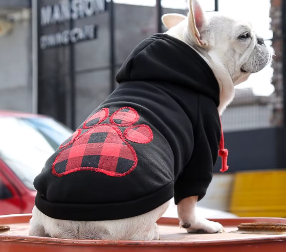The Plaid