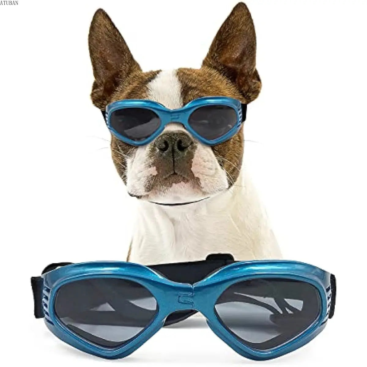 Doggles