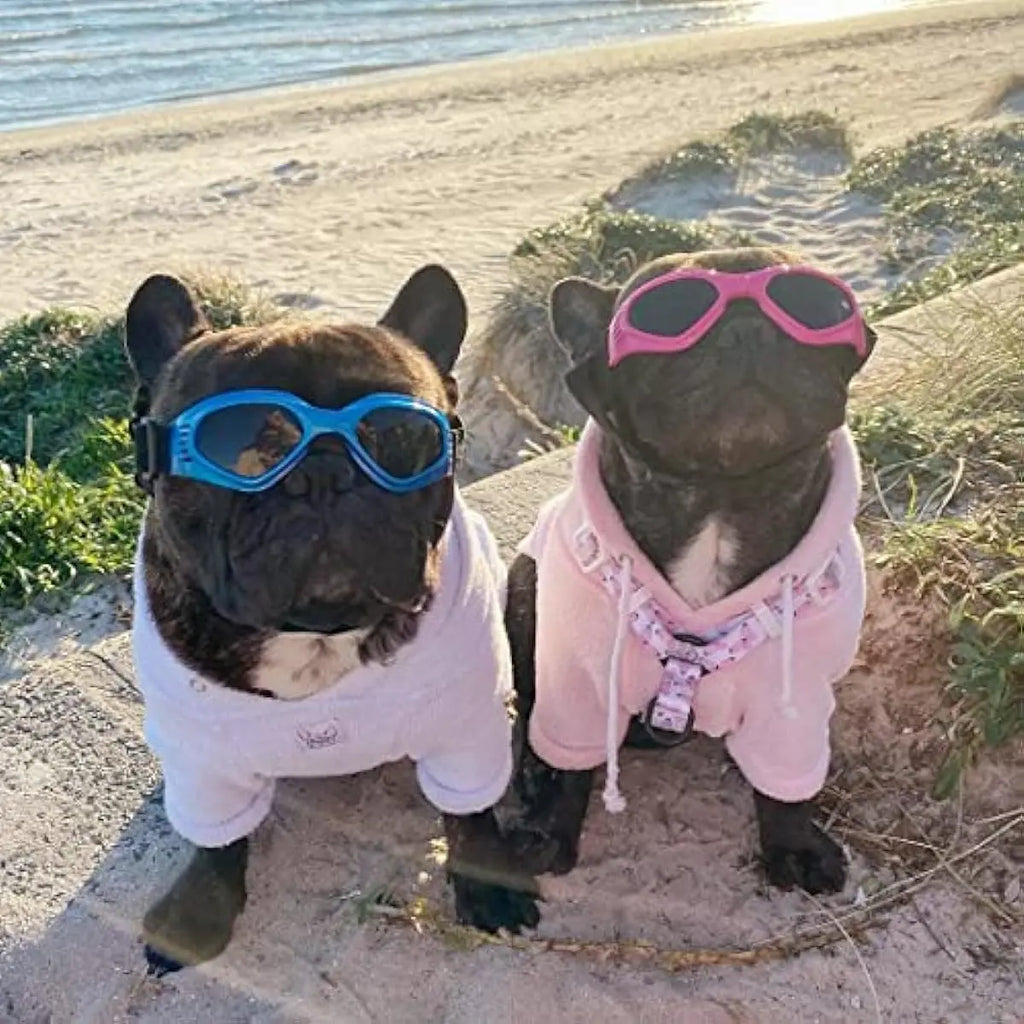Doggles