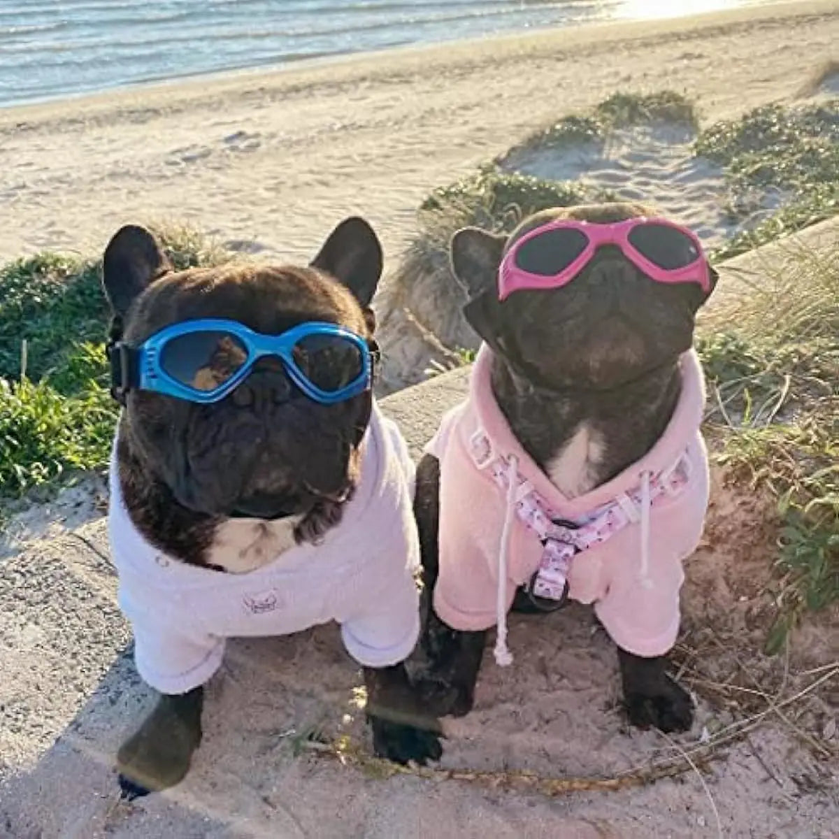 Doggles