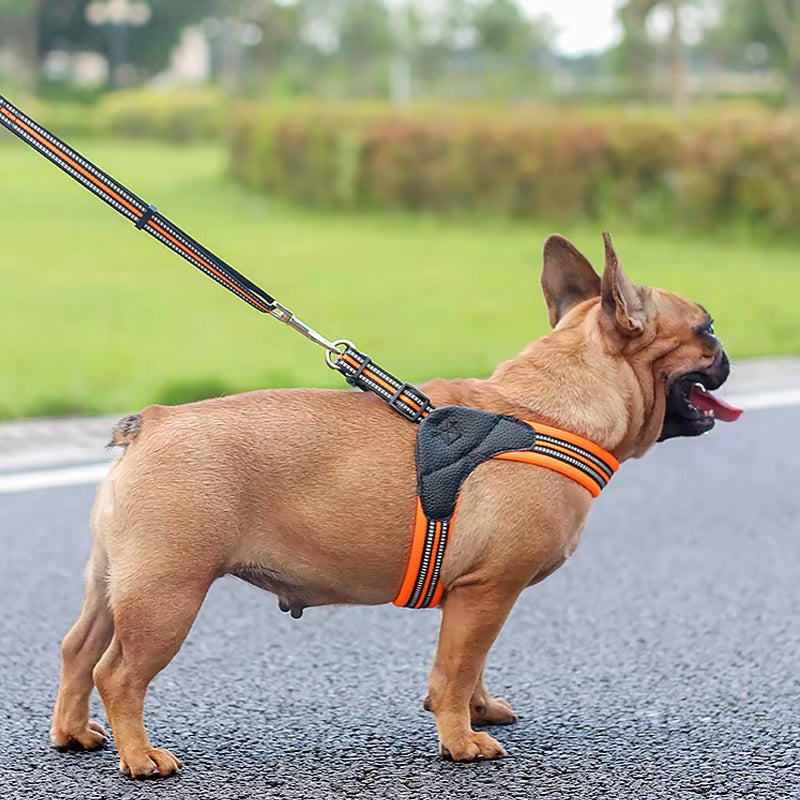 No Pull Dog Harness Beejay Pet Harnesses Vest Reflective Padded French Bulldog Dog Harness
