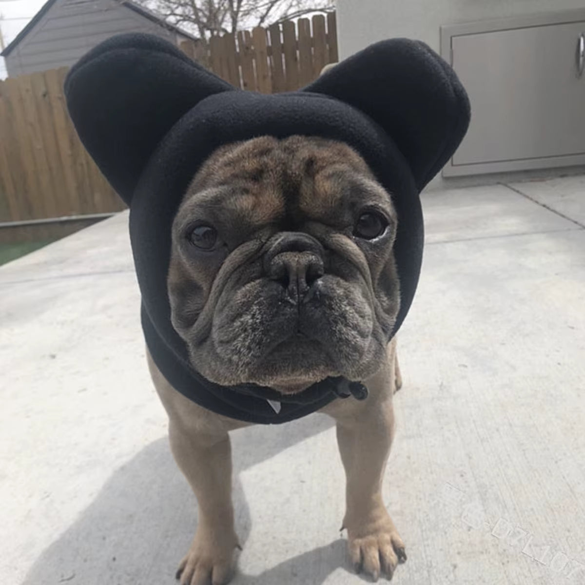 Cute Dog'S Fleece Bat Hat Soft Warm Adjustable French Bulldogs Winter Hats Pet Supplies
