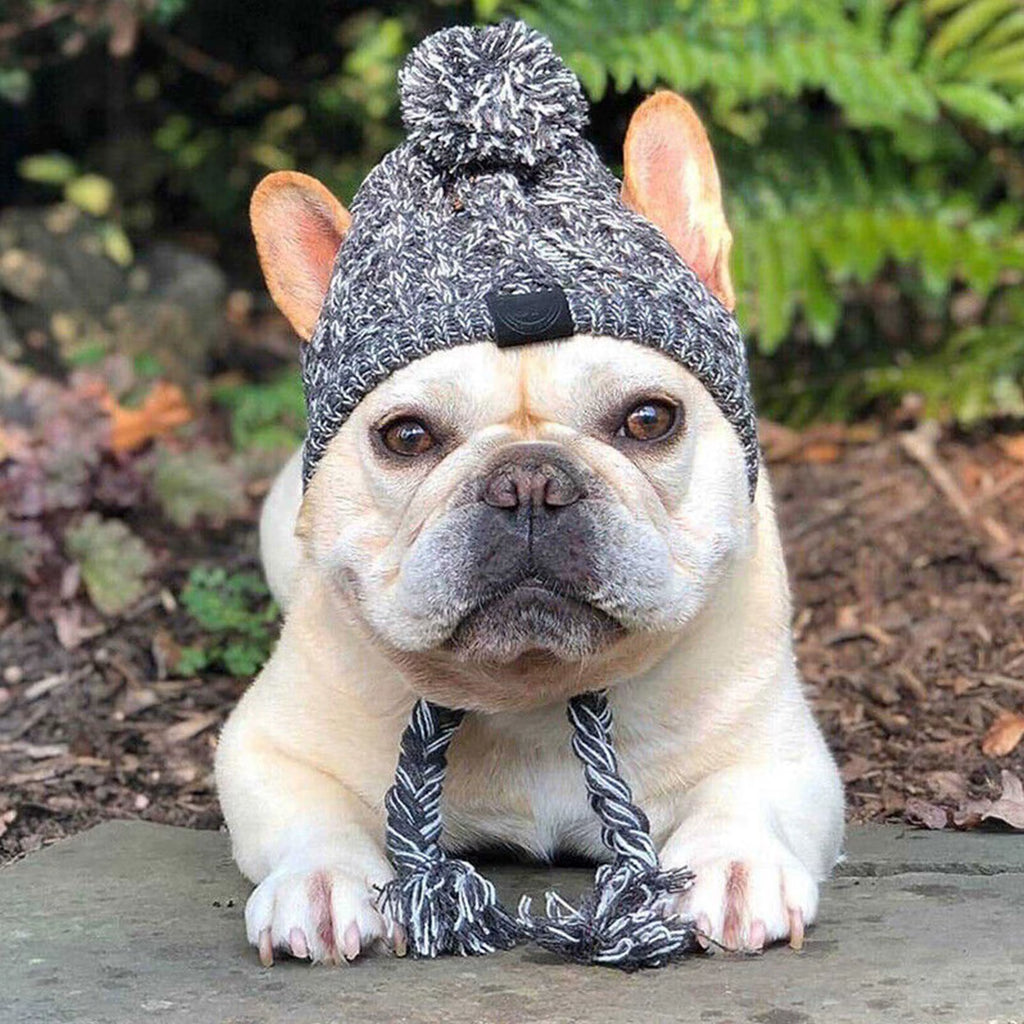 Winter Warm Dog Hats Windproof Knitting French Bulldog Hat for Dogs Chihuahua Hat Fluffy Ball Pet Hat Puppy Accessories