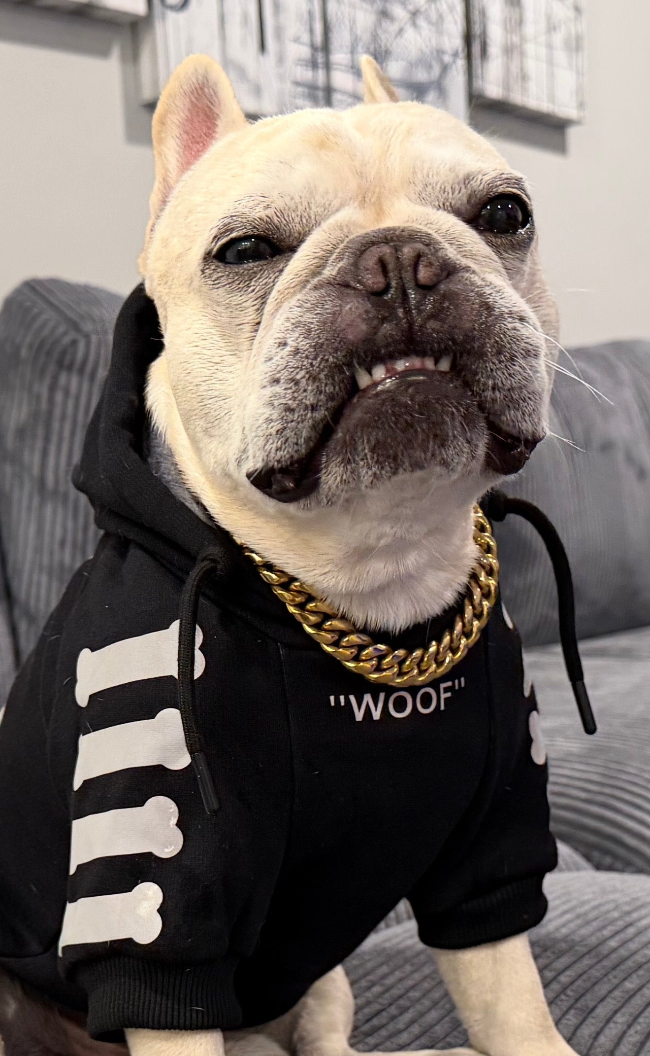 14Mm Stainless Steel/Gold Dog Chain
