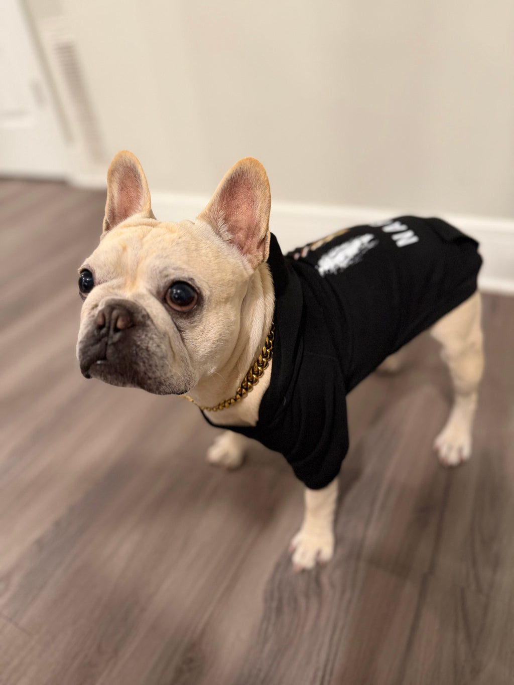 Trafficante Hoodie