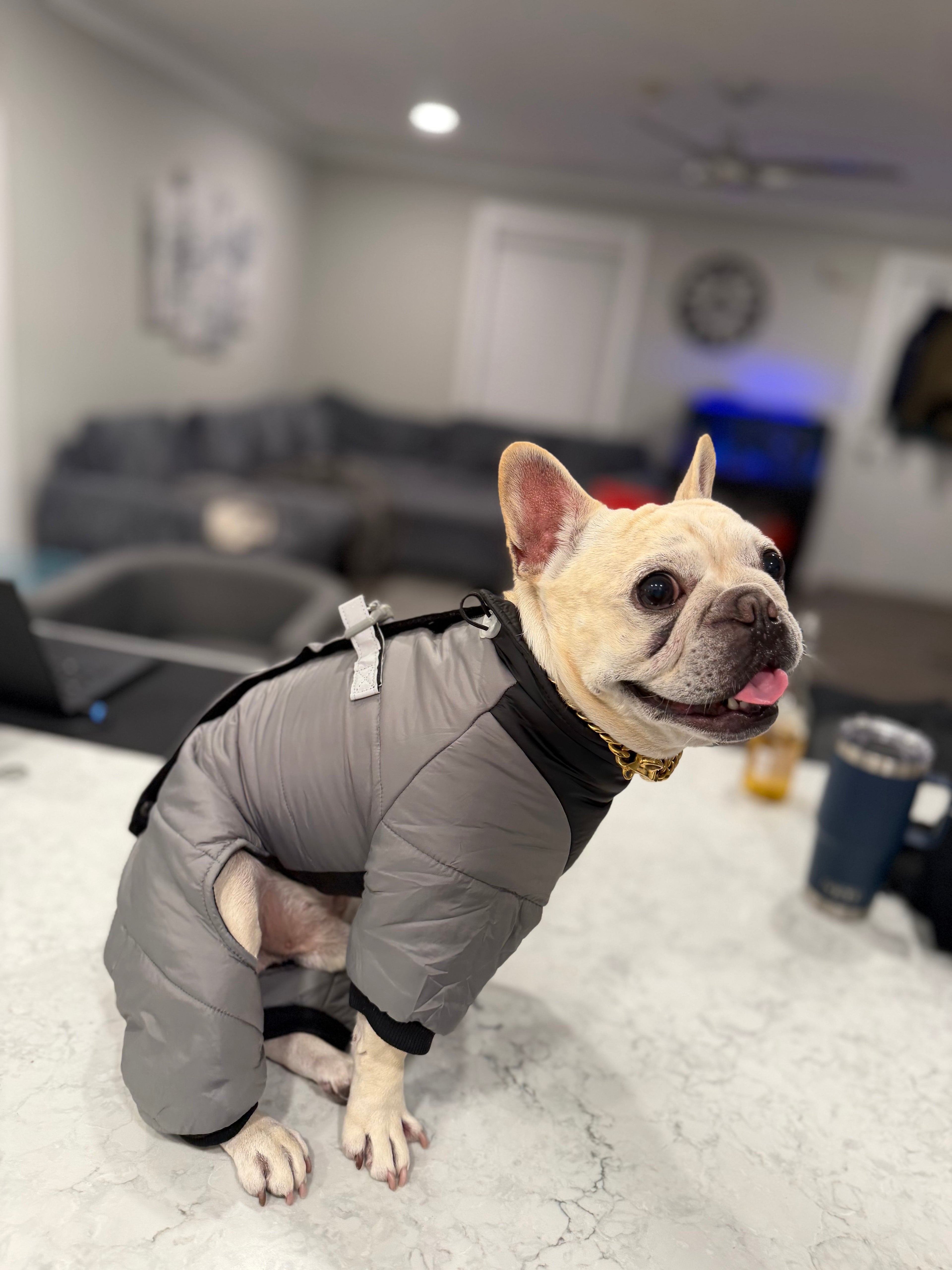 Rain and Snow Puffer