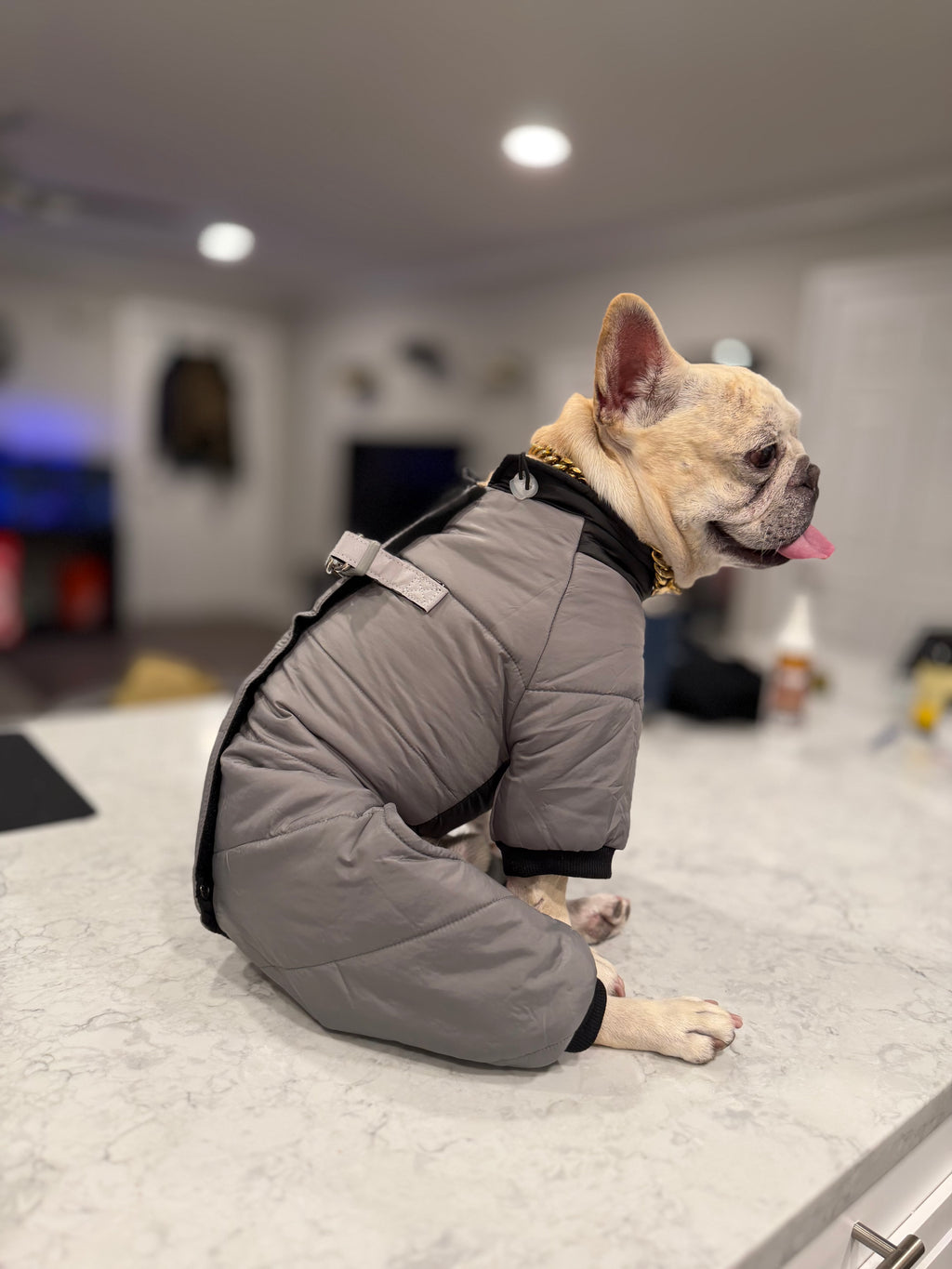 Rain and Snow Puffer