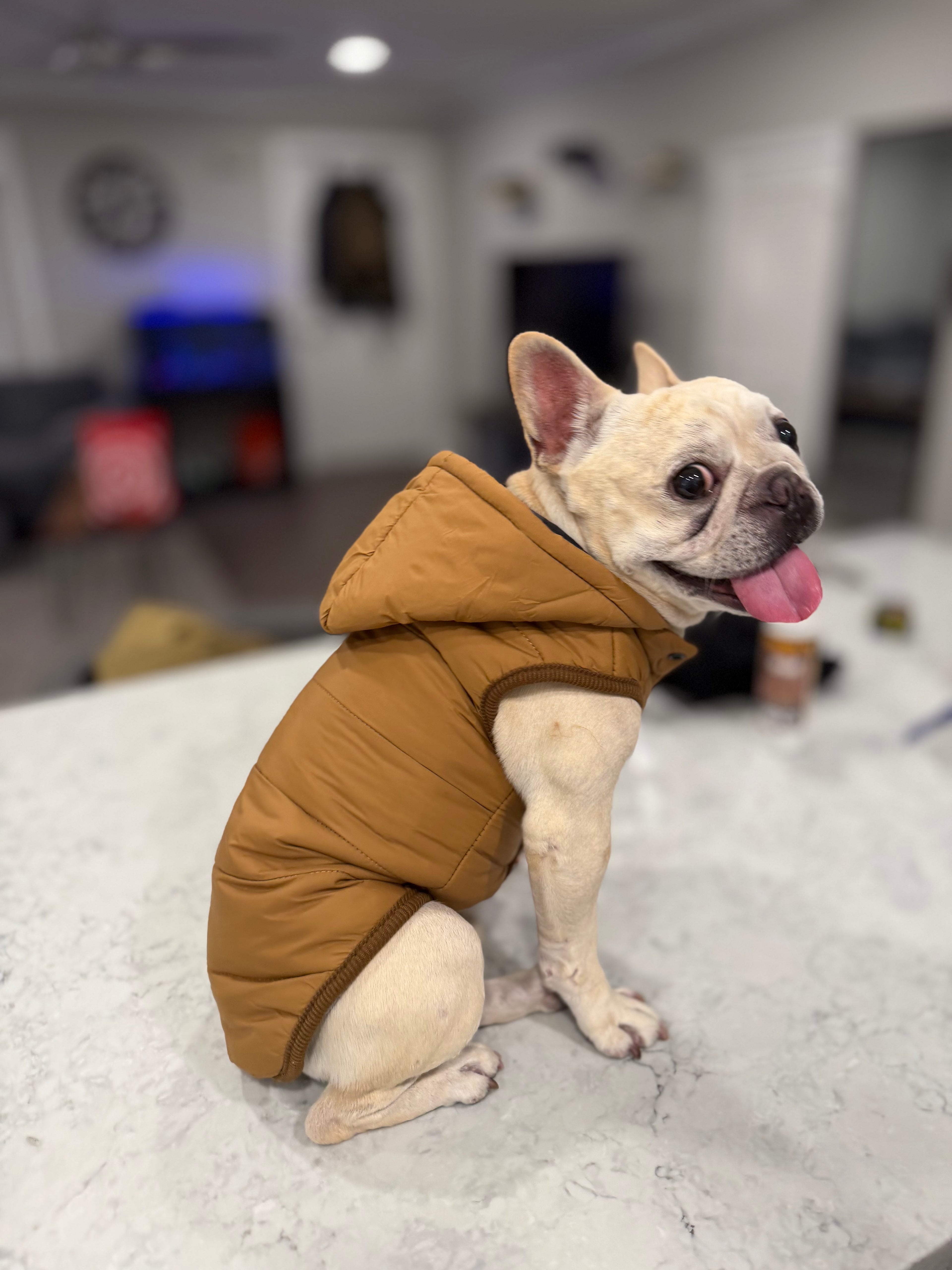 Fleece Hoodie