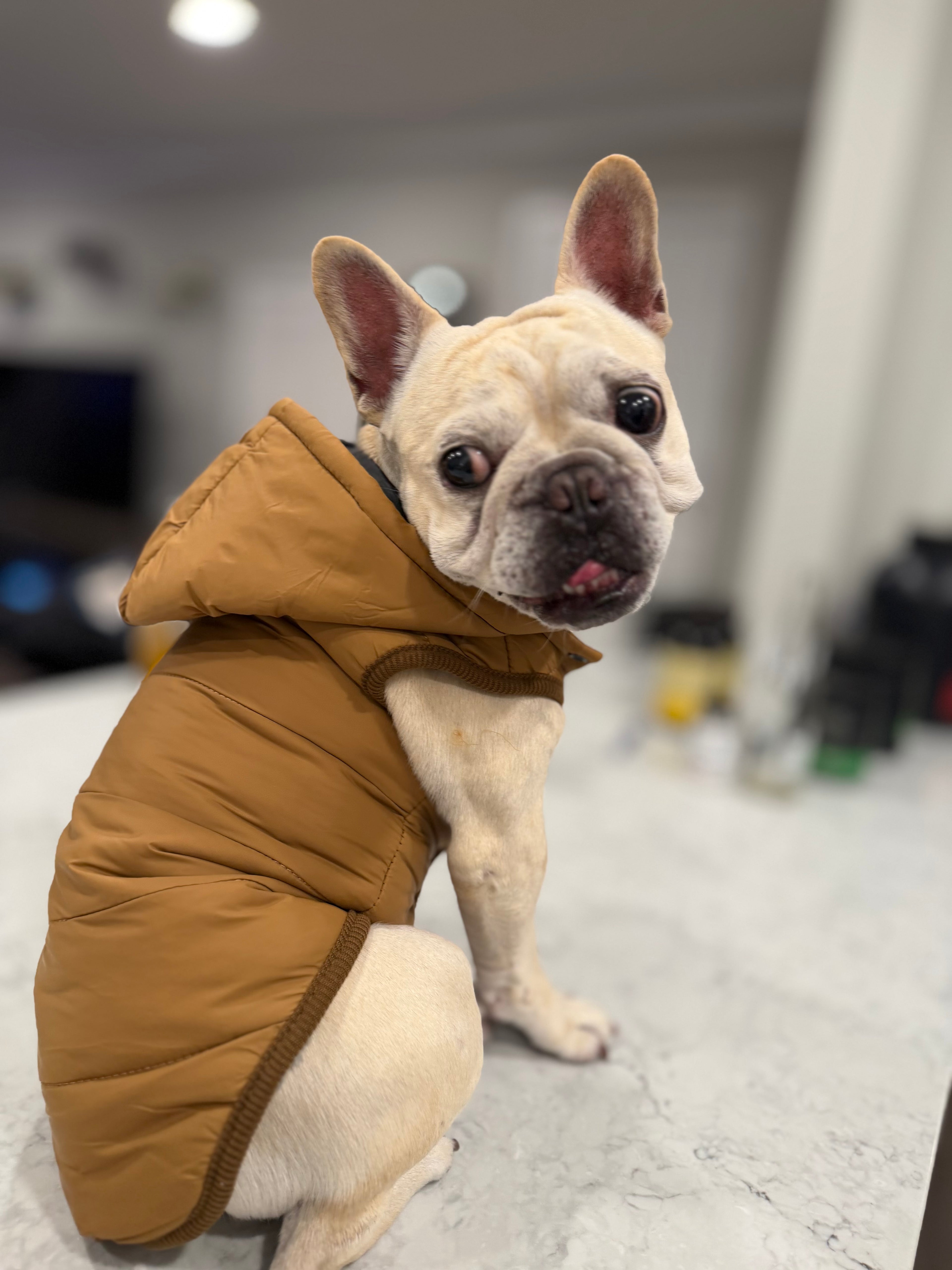Fleece Hoodie