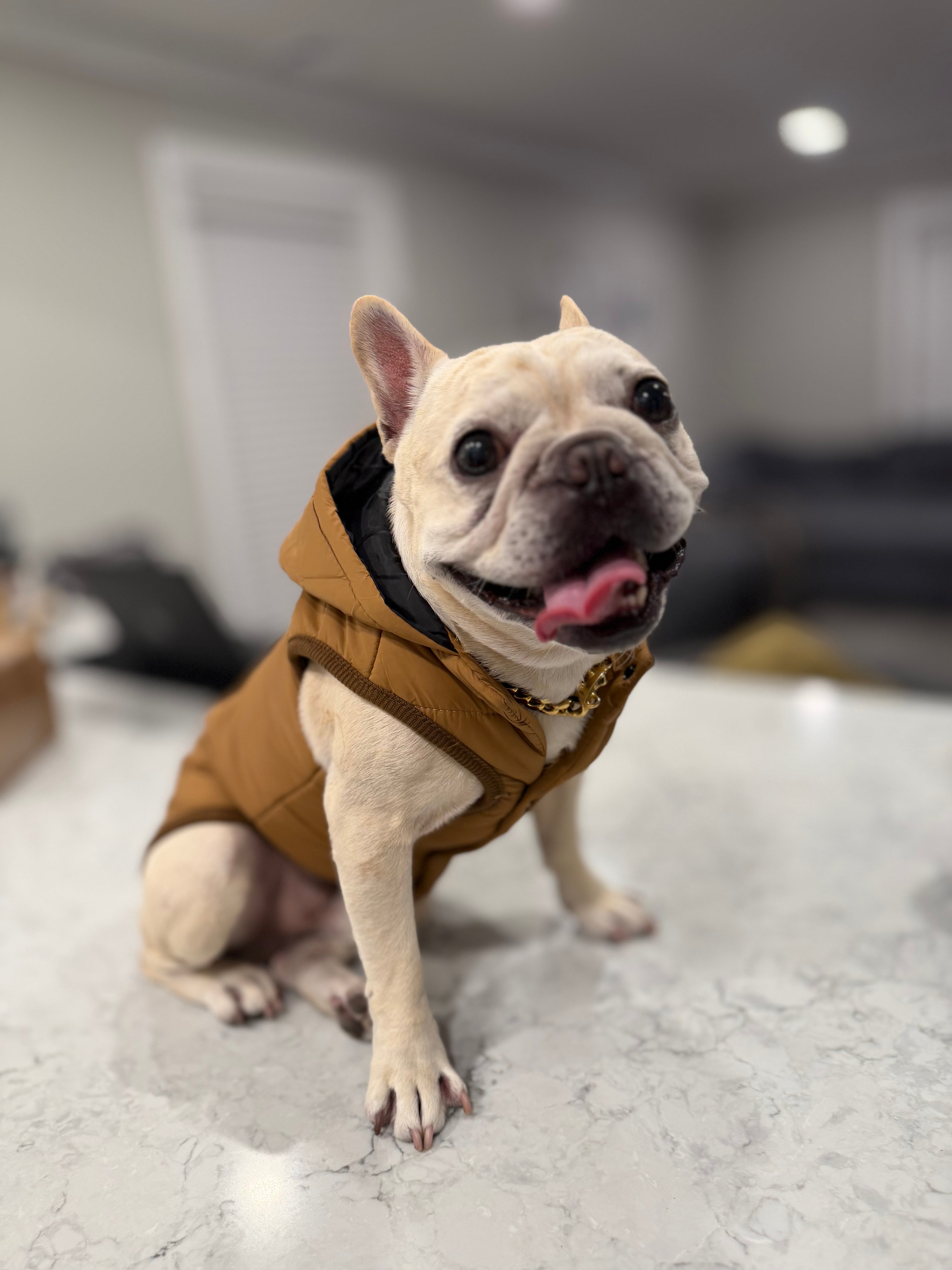Fleece Hoodie