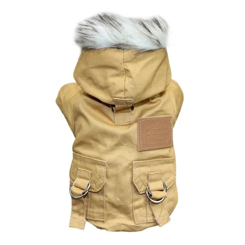 Winter Coat