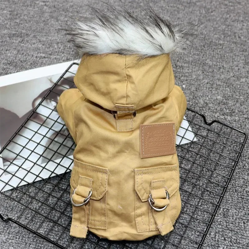 Winter Coat
