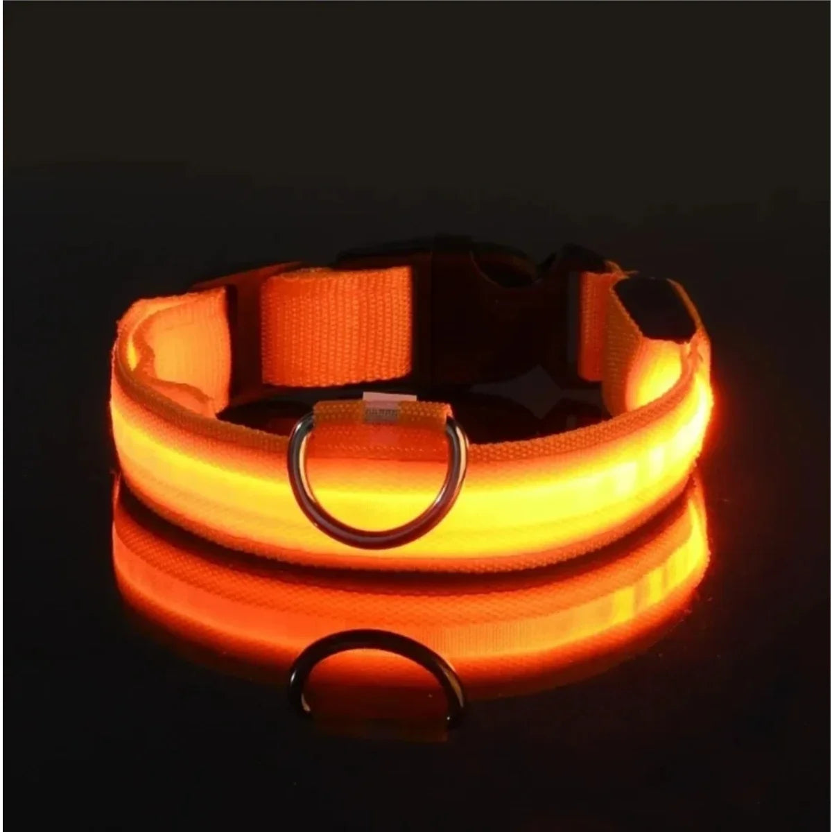 LED Nighttime Safety Collar
