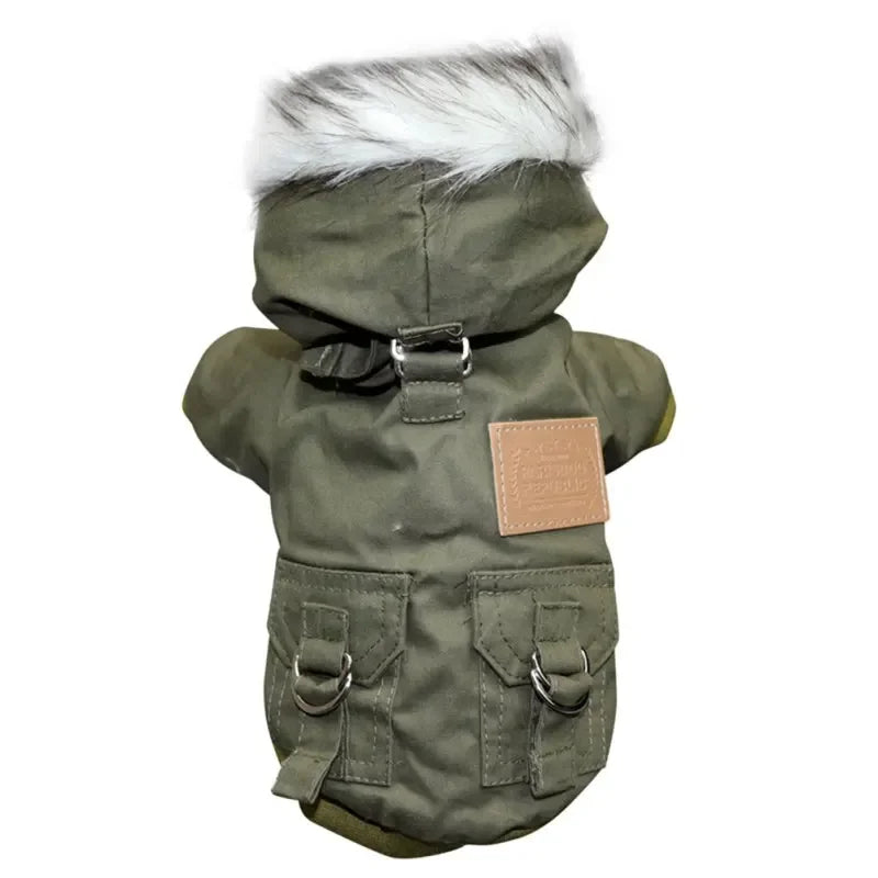 Winter Coat