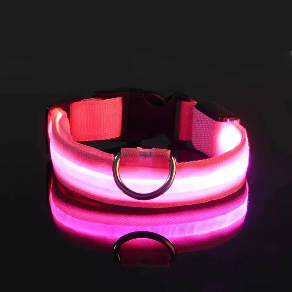 LED Nighttime Safety Collar