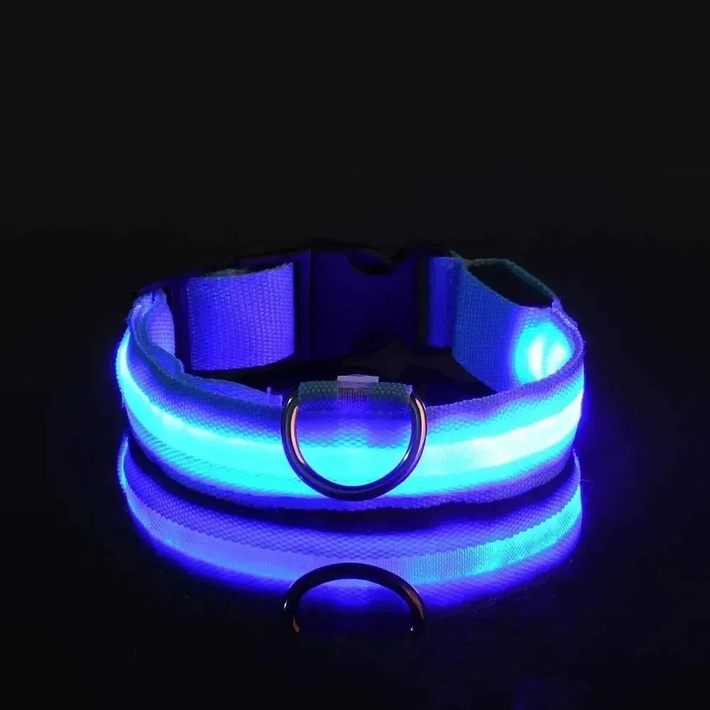 LED Nighttime Safety Collar