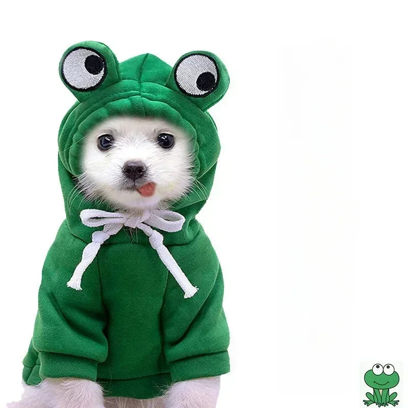 Doggo Froggo