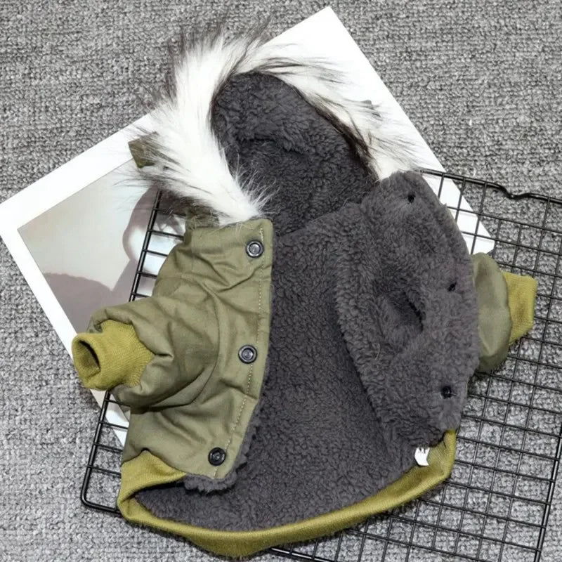 Winter Coat
