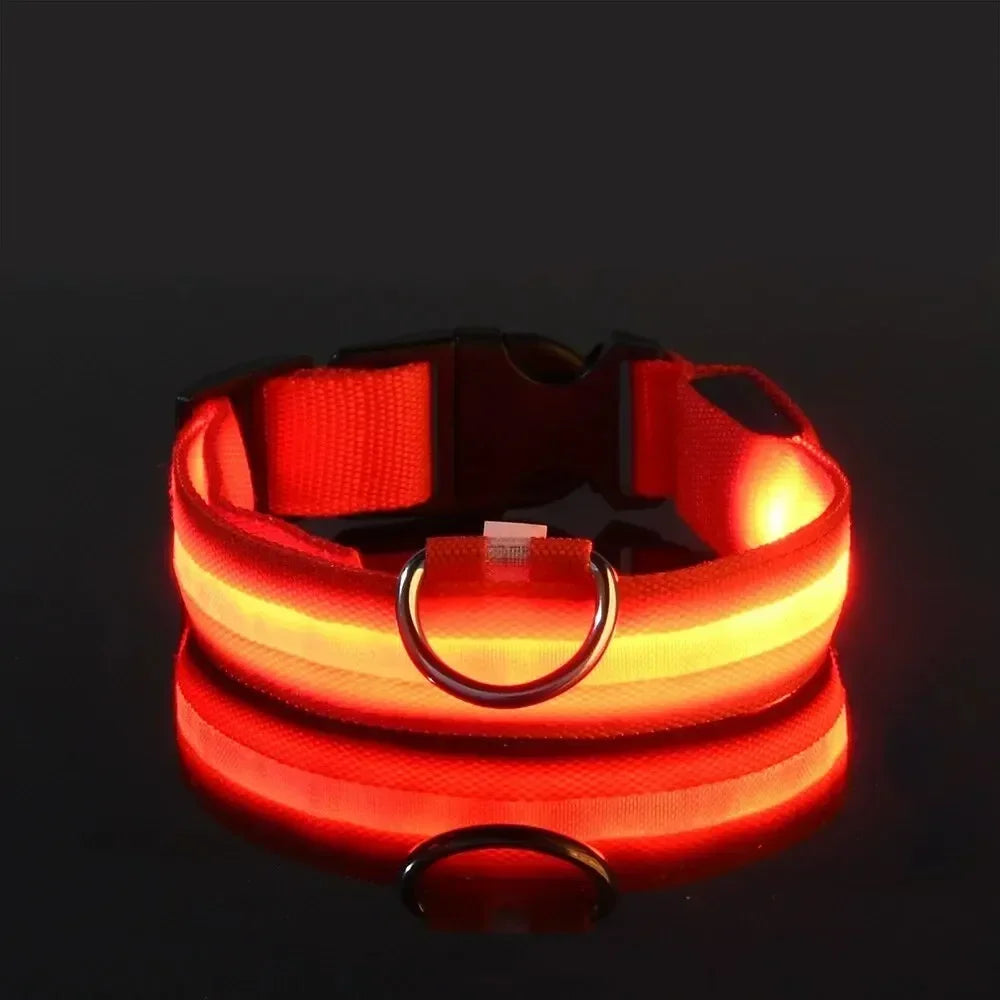 LED Nighttime Safety Collar