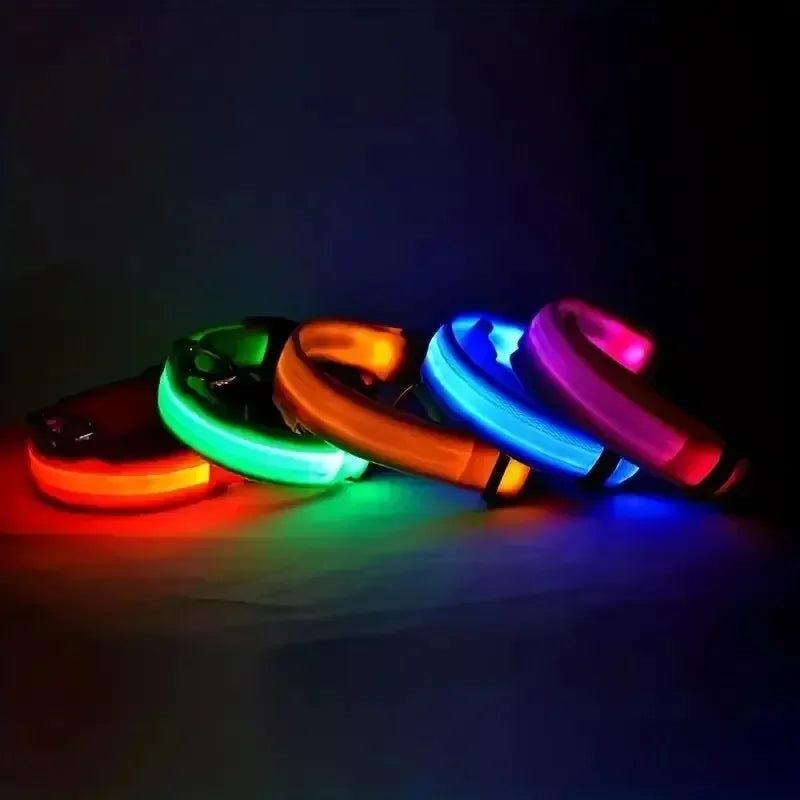 LED Nighttime Safety Collar