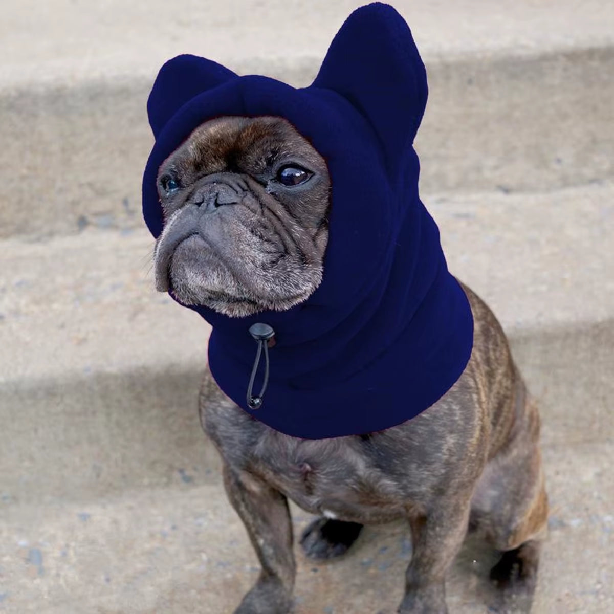 Cute Dog'S Fleece Bat Hat Soft Warm Adjustable French Bulldogs Winter Hats Pet Supplies