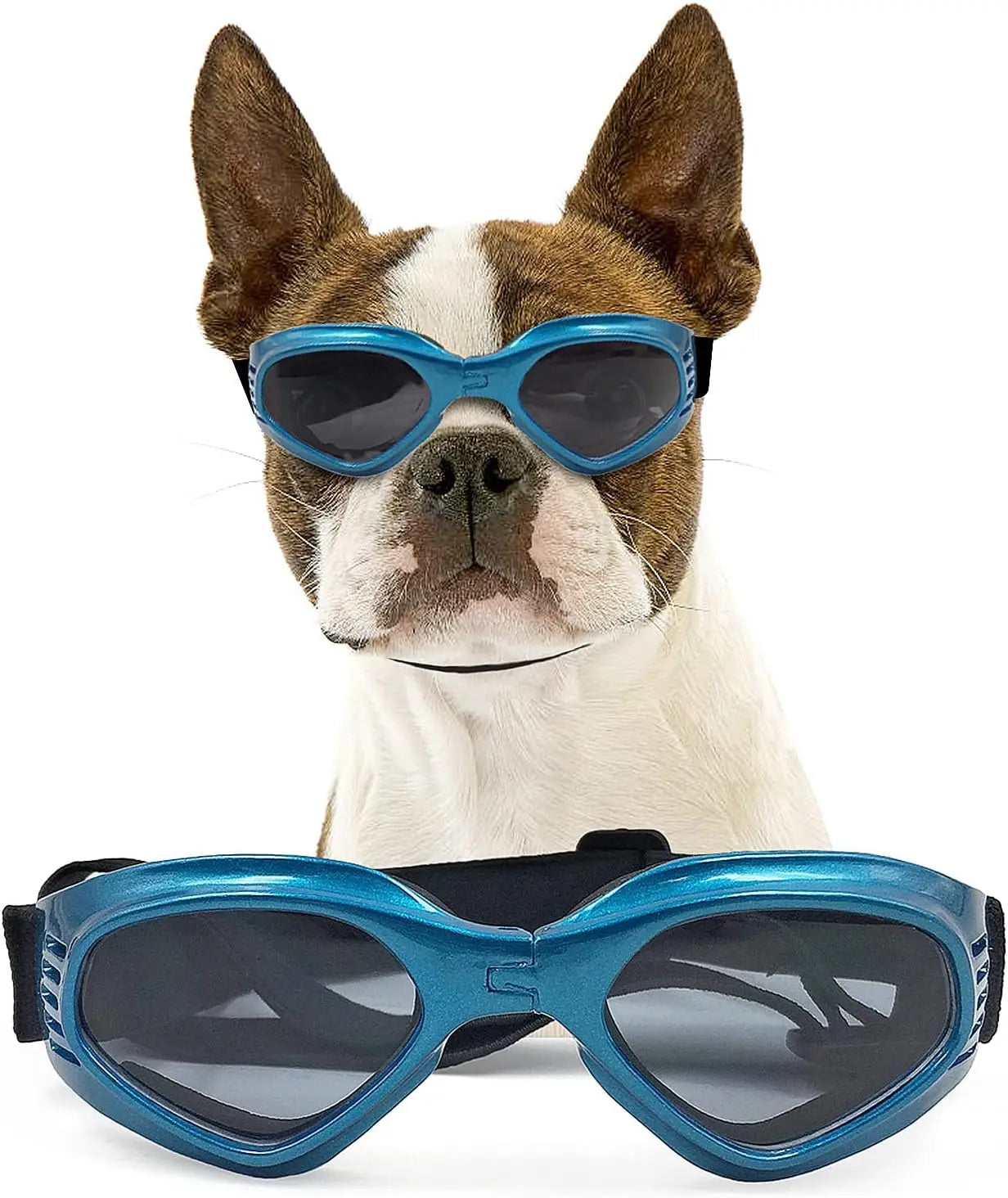 Doggles