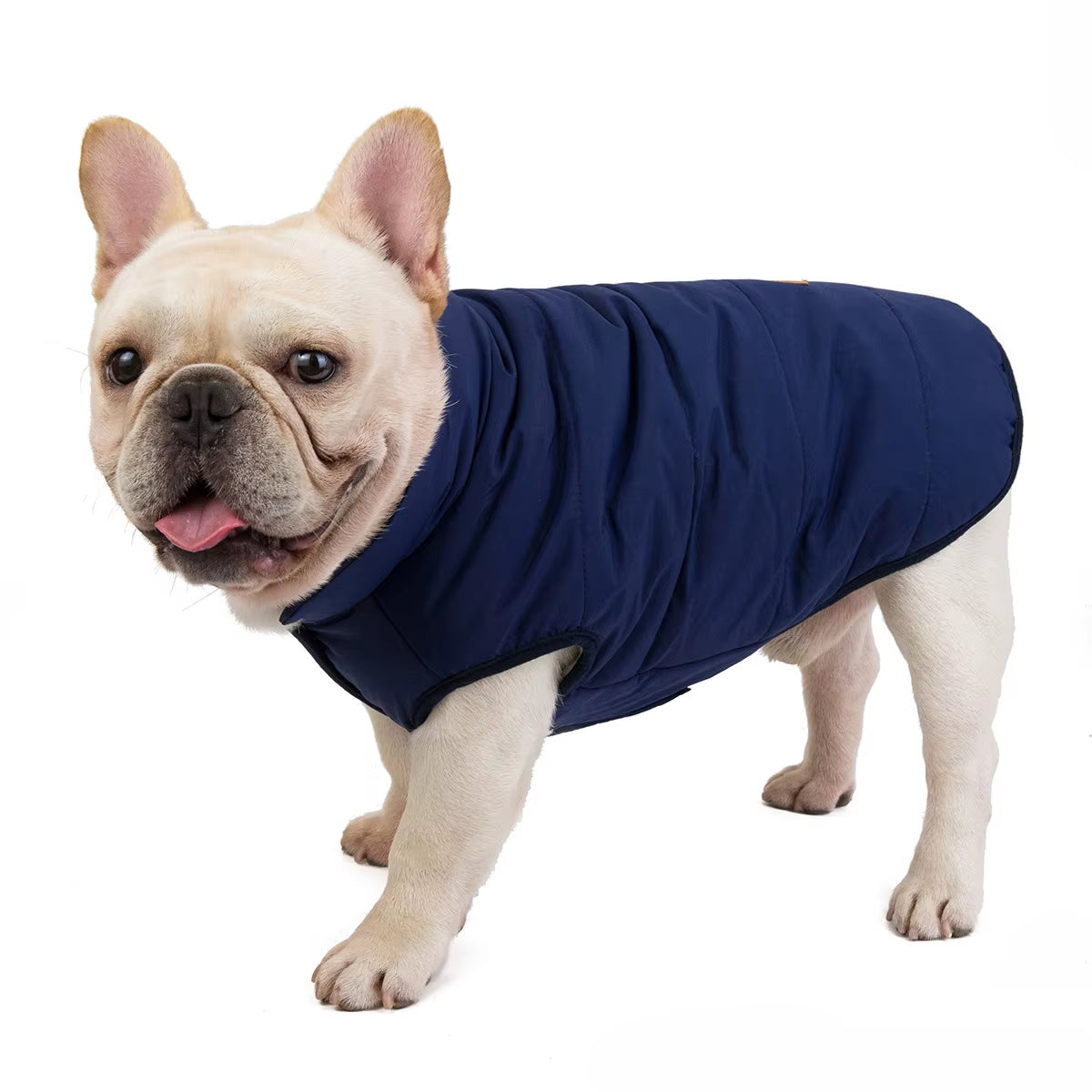 Autumn and Winter Warm Velvet Fleece Polyester French Bulldog Vest Coat Windproof Waterproof Dog Coat French Bulldog Clothes