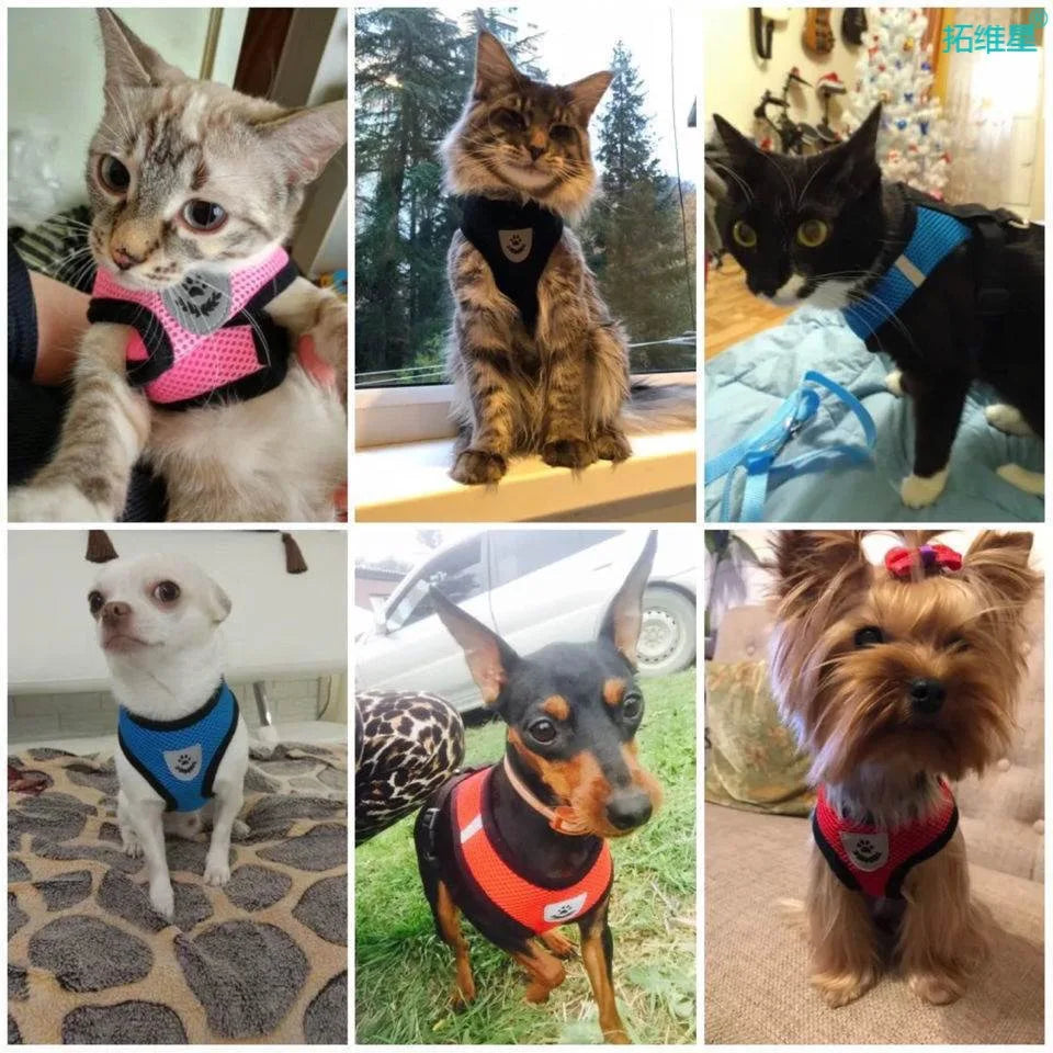 Breathable Mesh Cat Small Dog Harness and Leash Set Adjustable Cat Harnesses Puppy Harness Vest for French Bulldog Chihuahua Pug