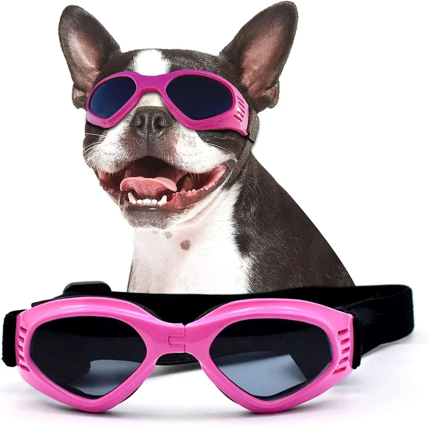 Doggles